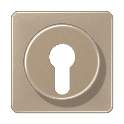 Крышка для выключателя с замком; золотая бронза, CD528GB