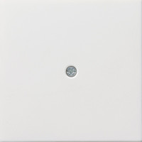 0274112 Gira Накладка розетки для подключения средств связи