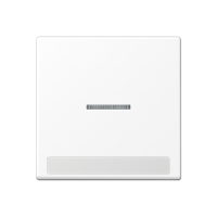 Клавиша с полем для надписи, A590BFNAKO5WWM