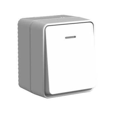 ATN543013 - ATLASDESIGN PROFI IP54 О/У 1-клавишный ВЫКЛЮЧАТЕЛЬ с подсветкой, сх.1а, 10АХ, СЕРЫЙ, Systeme Electric