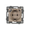 049821 - Механизм розетки с USB зарядкой SCT-MUAA-PL-GD-V (250V, 16A) (Arlight, -)