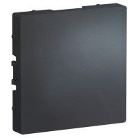 IRIDIUM Заглушка, Графит , M1404