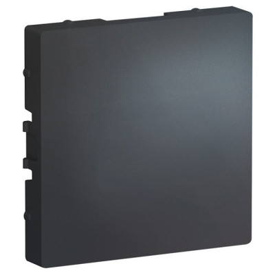 IRIDIUM Заглушка, Графит , M1404