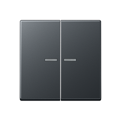 Двойная клавиша с окошками для балансирных механизмов выключателей (кнопок), в комплекте с AS90-5HP (крепежный элемент), возможно IP44; термопласт; матовый антрацит; A500, A595BFKO5ANM