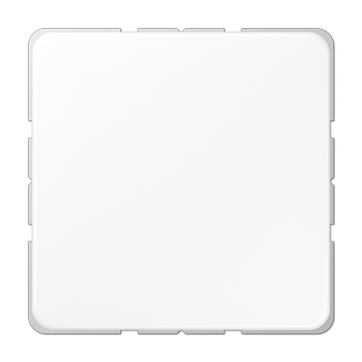 Крышка без отверстий, фиксация защёлкиванием, для произвольных вырезов (либо использование в качестве заглушки), возможно IP44; термопласт; белый; CD500, CD594-0WW