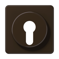 Крышка для выключателя с замком; коричневая, CD528BR Крышка для выключателя с замком; коричневая, CD528BR