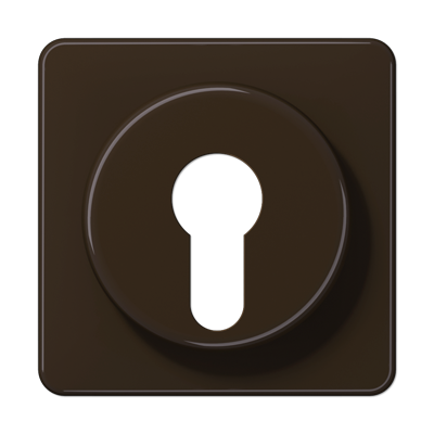 Крышка для выключателя с замком; коричневая, CD528BR