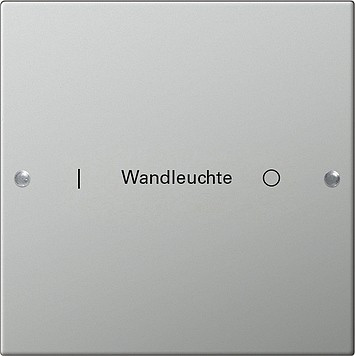 2131602 Gira Комплект клавиш, 1 шт. ГРАВИРОВКА