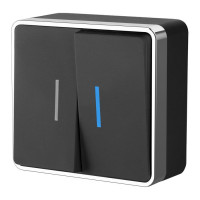 Werkel W5020135/ Выключатель двухклавишный с подсветкой Gallant (черный/хром), a050975 Werkel W5020135/ Выключатель двухклавишный с подсветкой Gallant (черный/хром), a050975