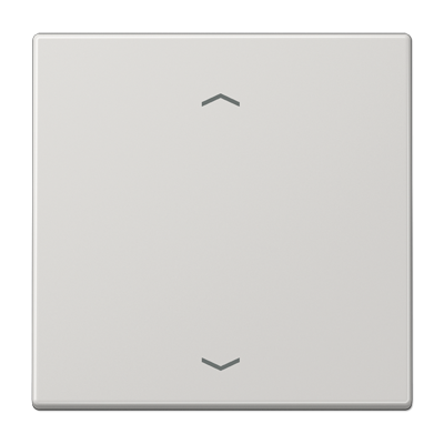 Центральная плата для вставок управления двигателями, LS1700PLG