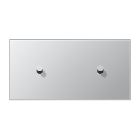 Центральная плата, 2 поста, для горизонтальной установки, тумблеры 1+1,конус; металлическое исполнение; алюминий; серия LS, AL12-200K0