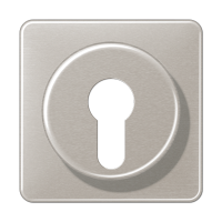 Крышка для выключателя с замком; платина, CD528PT Крышка для выключателя с замком; платина, CD528PT