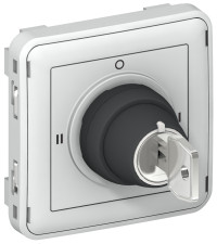 Выключатель с ключом -3A - 250 В - Программа Plexo - серый - 3 положения