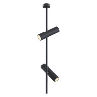 Ceiling & Wall Elti Потолочный светильник, цвет -  Черный, 2х50W GU10