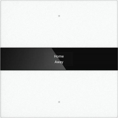 GVS CHPBD-02/12.1.10 Клавишный выключатель с дисплеем, 2 клавиши, белый, антиблик