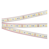 Светодиодная лента герметичная RTW-PFS-B60-13mm 12V Red (14.4 W/m, IP68, 5060, 5m) (Arlight, 14.4 Вт/м, IP68), 036281