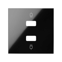 Simon 10001090-138 Накладка розетки 2xUSB цвета черный глянец S100