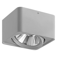 Lightstar 212619 Светильник MONOCCO AR111 СЕРЫЙ (в комплекте)