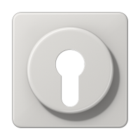 Крышка для выключателя с замком; светло-серая, CD528LG Крышка для выключателя с замком; светло-серая, CD528LG