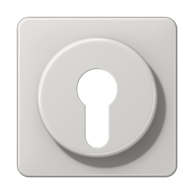 Крышка для выключателя с замком; светло-серая, CD528LG