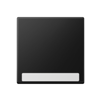 Клавиша с полем для надписи, A590BFNASWM