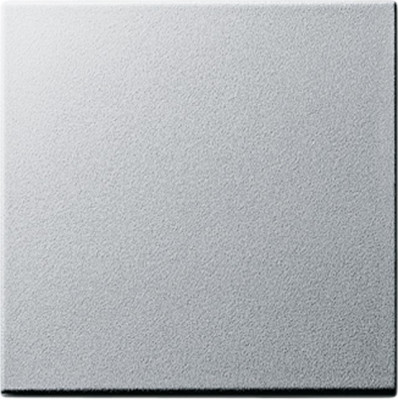 029626 Gira Клавиша одинарная