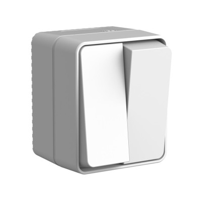 ATN543051 - ATLASDESIGN PROFI IP54 О/У 2-клавишный ВЫКЛЮЧАТЕЛЬ, сх.5, 10АХ, СЕРЫЙ, Systeme Electric