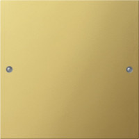 2131606 Gira Комплект клавиш, 1 шт.