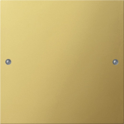 2131606 Gira Комплект клавиш, 1 шт.