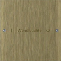 2131607 Gira Комплект клавиш, 1 шт. ГРАВИРОВКА