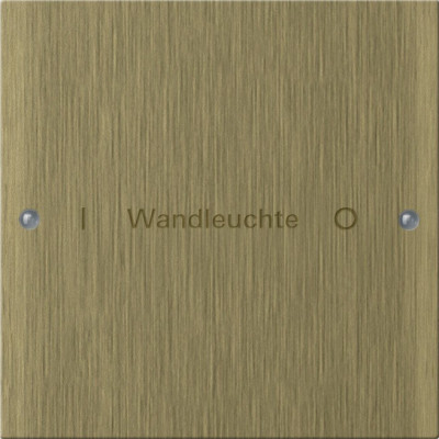 2131607 Gira Комплект клавиш, 1 шт. ГРАВИРОВКА