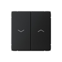 GAL001019 - ARTGALLERY 2-клавишный ВЫКЛЮЧАТЕЛЬ ДЛЯ ЖАЛЮЗИ, 2х сх.4, 10А, механизм, КАРБОН, Systeme Electric