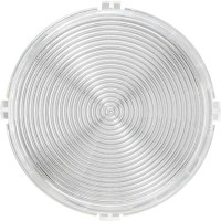 080602 Gira Съемная плоская накладка для светового сигнала