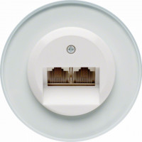 Berker Розетка компьютерная 2-ая, глянцевый белый, серия Glas