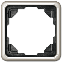 Рамка для вертикальной и горизонтальной установки, 1 пост; металл; платина; CD500, CD581PT