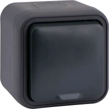Donel W55 Розетка 1-я с защ.крышкой,2К+З. и шт., накладная, антрацит, IP55, серия (тип) DIP55, DIP18828