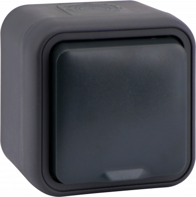 Donel W55 Розетка 1-я с защ.крышкой,2К+З. и шт., накладная, антрацит, IP55, серия (тип) DIP55 , DIP18828