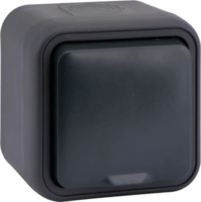 Donel W55 Розетка 1-я с защ.крышкой,2К+З. и шт., накладная, антрацит, IP55, серия (тип) DIP55, DIP18828