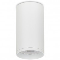 Donel Накладной светильник, DN02016R1W