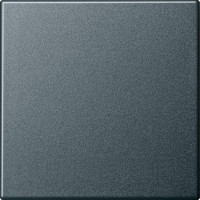 029628 Gira Клавиша одинарная