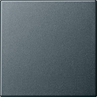 029628 Gira Клавиша одинарная