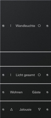 2204005 Gira Набор клавиш 4-клав. (1+3),  ГРАВИРОВКА