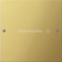 2131608 Gira Комплект клавиш, 1 шт. ГРАВИРОВКА