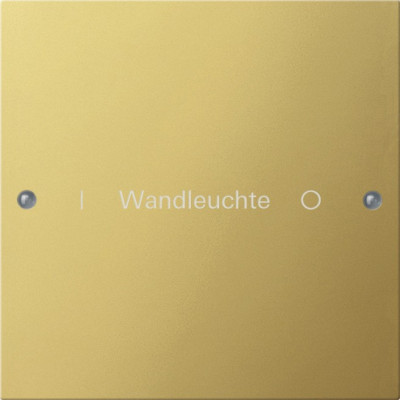 2131608 Gira Комплект клавиш, 1 шт. ГРАВИРОВКА