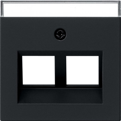 2640005 Gira Накладка с полем надп Mod. Jack 30°