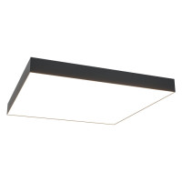 Ceiling & Wall Потолочный светильник, цвет: Черный 96W