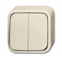 2601/5 APGL - Выключатель 2-клавишный, с подсветкой, для открытого монтажа, Busch-Duro 2000 AP, слоновая кость - 2CKA001042A0670