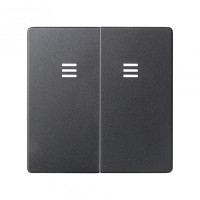 Simon 82 Клавиша двойная для выключателя с голубой подсветкой цвета графит, 8202025-038