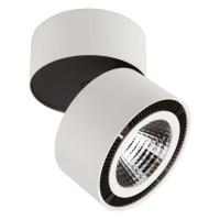 Lightstar 214850 Светильник  FORTE MURO LED 40W 3400LM 30G БЕЛЫЙ 4000K (в комплекте)