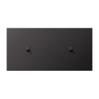 Центральная плата, 2 поста, для горизонтальной установки, тумблеры 1+1,цилиндр; металлическое исполнение; Dark; серия LS, AL12-200DR01